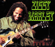 zig.jpg
